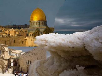 История и отдых на Мертвом море