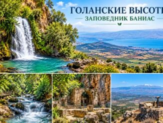 Экскурсия Голанские высоты. Заповедник Баниас