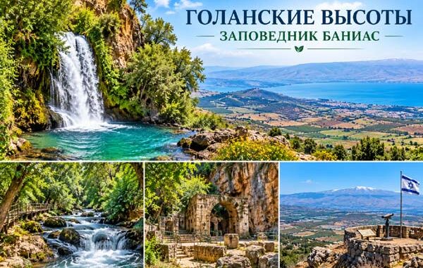 Голанские высоты и заповедник Баниас — групповая экскурсия на русском языке