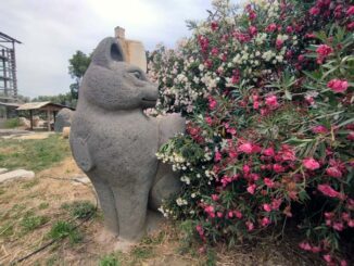 Эйн Кармель